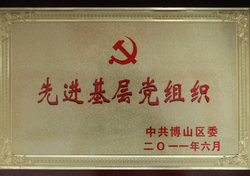 山东先进基层党组织